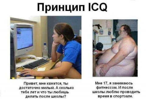 ВКонтакте Vs Реальность (Котоверсия)