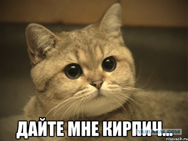 Что курят эти люди?