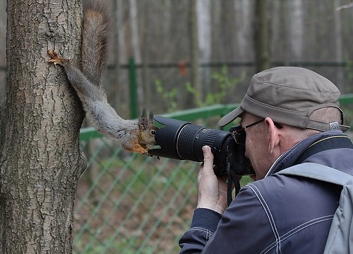Как получаются такие фотографии