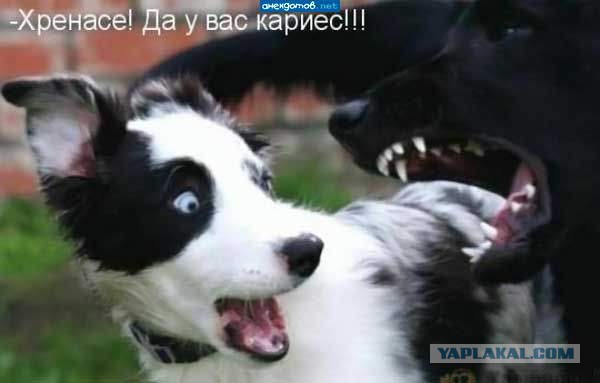 Вот вам к четвергу.