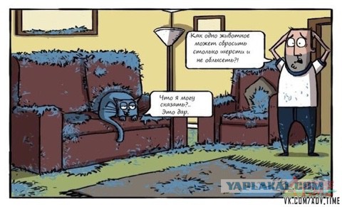 Котовторнику посвящается.