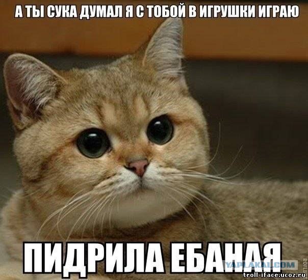 Когда вы минусуете уже заминусованного