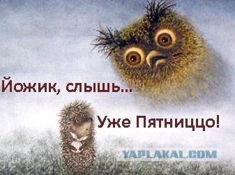 Подборка прикольных картинок из сети на 10 июля