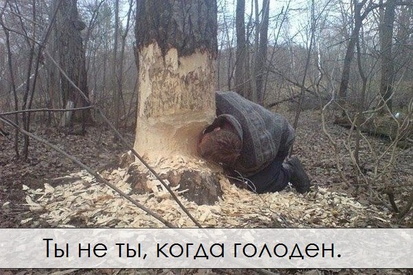 Подборка веселостей из сети