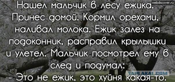 Минутка наркомании на ЯПе