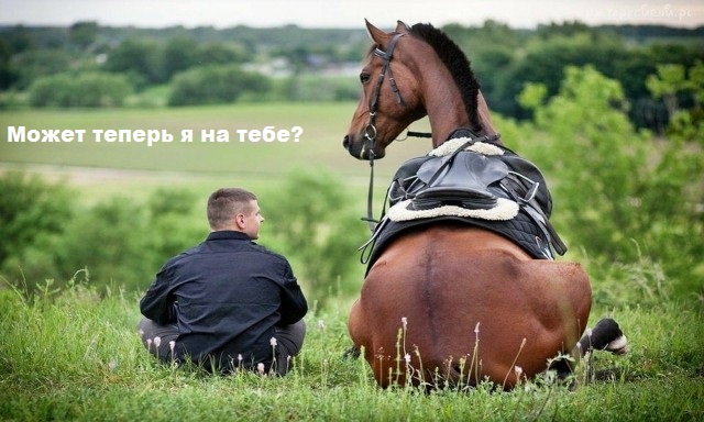 Картинки, надписи