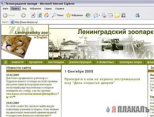 Приколы на МОНИТОРЕ