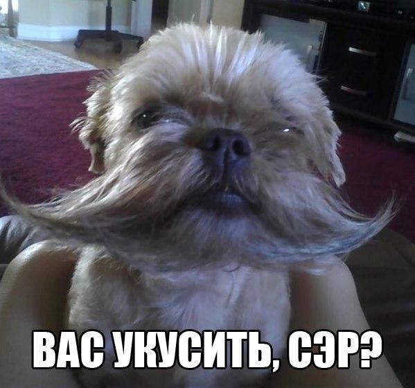 А давайте улыбнёмся В Новом Году