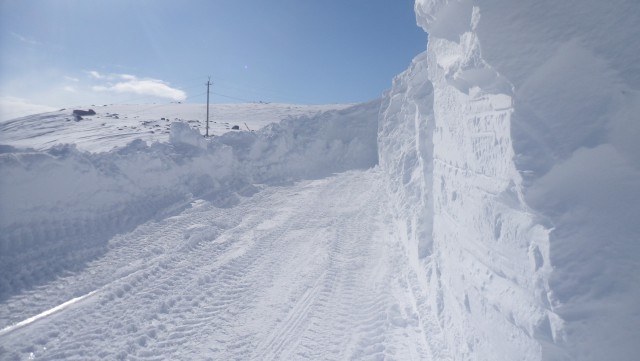 Из жизни долболобов