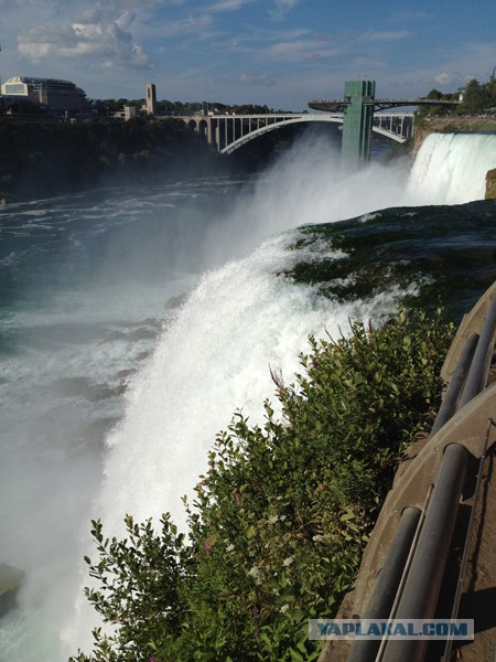 15 лучших кадров января от National Geographic