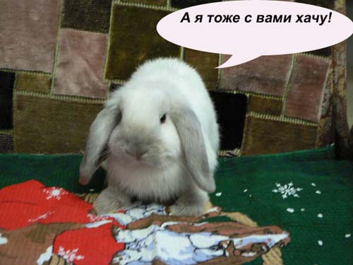 Уже да :) Ужо пятнецца...