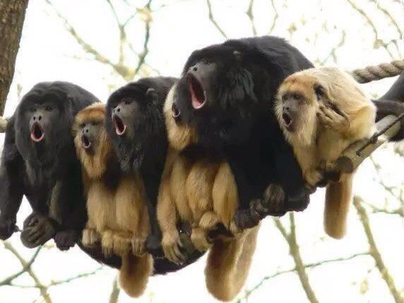 Подборка картинок 29.02.16