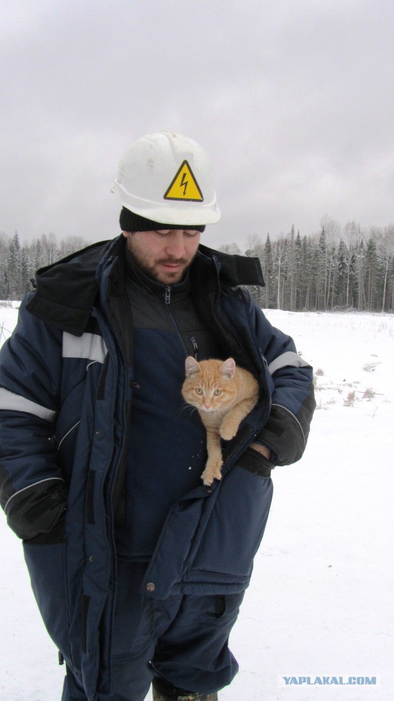 Трудовой народ в лицах
