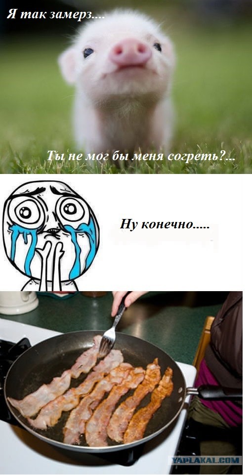 Абсурдный юмор ч.19