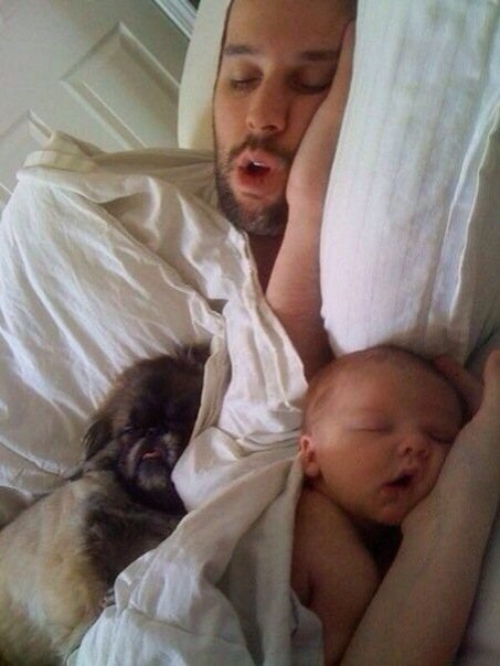 Подборка картинок из сети