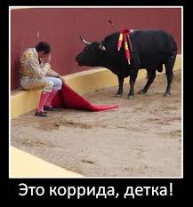 Бык убил парня