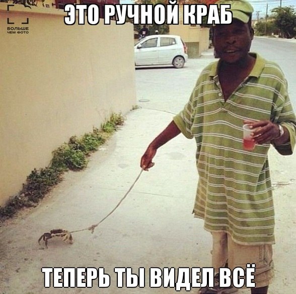 Соцсети - и смех и грех