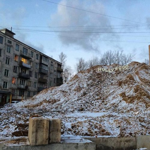 Порция картинок из сети