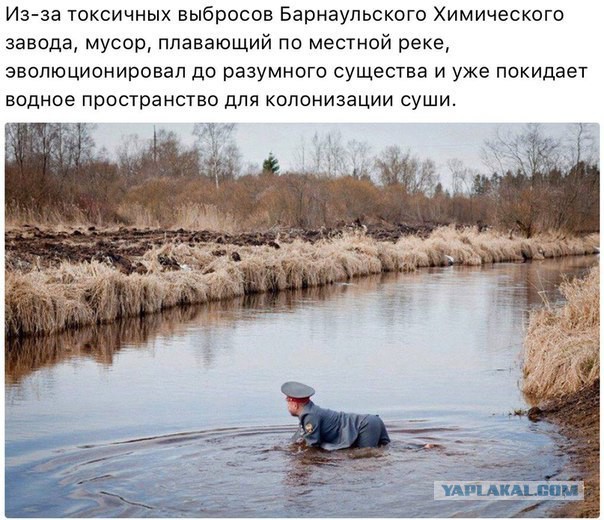 Предпраздничный маразм на предстоящую неделю