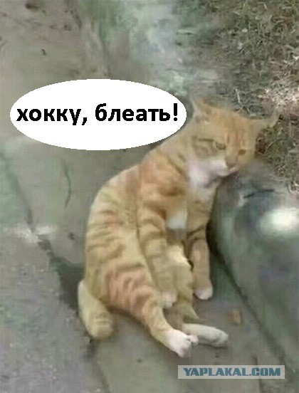 "Зелёная шляпа"