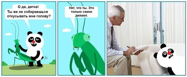 Весёлые картинки