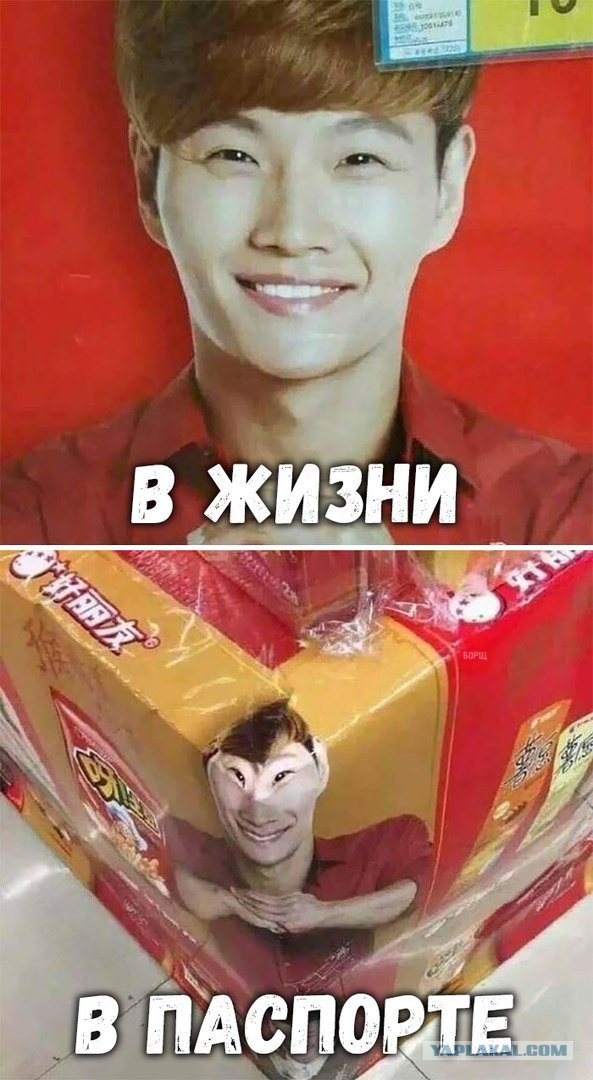 Журнал деградант