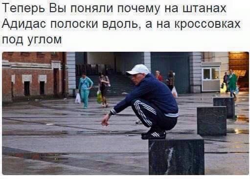 100 картинок для поднятия настроения!