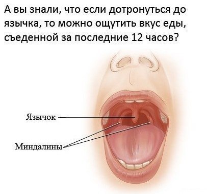 Давно мы не мизантропизировали...
