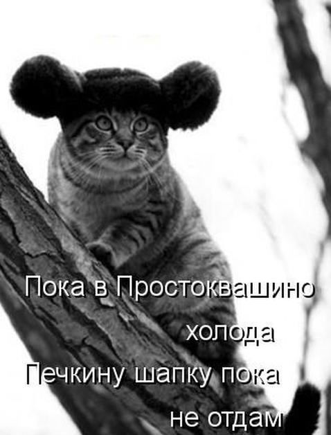 Чебуракот