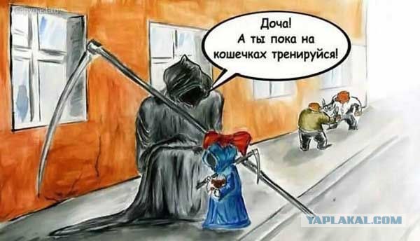 Котовторник на ЯПлакалъ! От числа 09.09.08