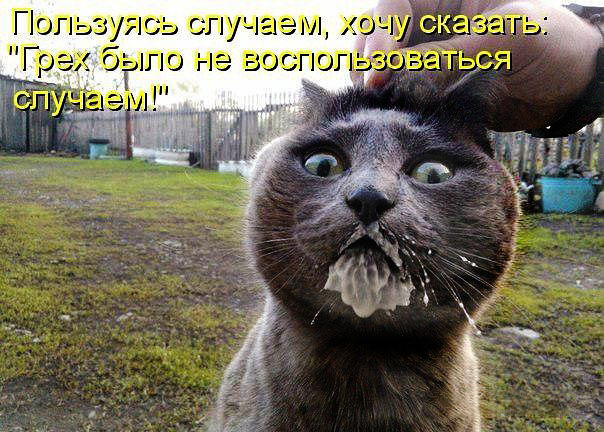 Подборка картинок