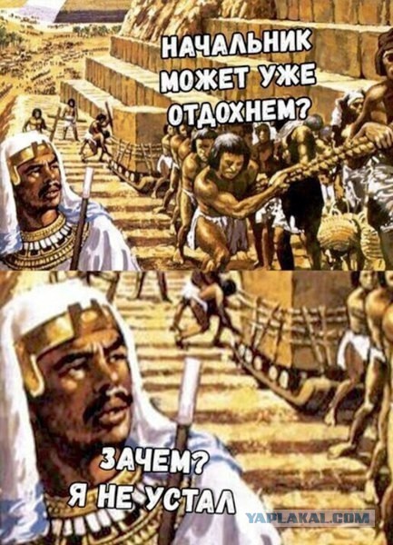 Подборка интересных и веселых картинок 01.01.19
