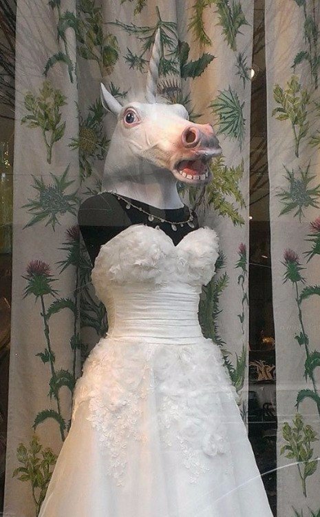 WTF: что тут происходит?