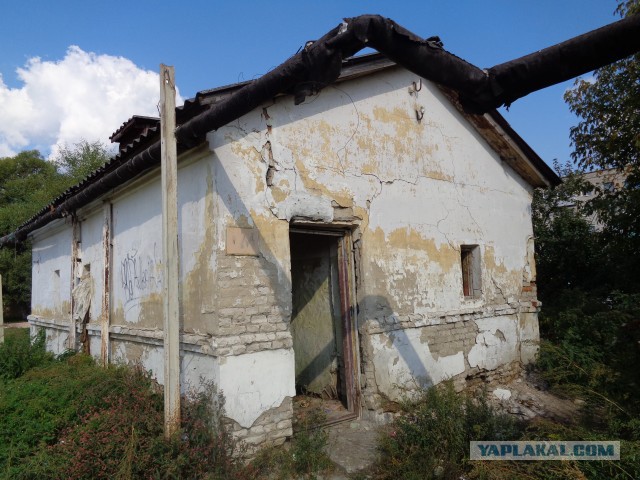 Почему вся страна до сих пор не может научиться пользоваться туалетом?
