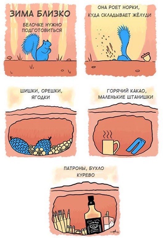 Бредзона картинок 20.11.2019