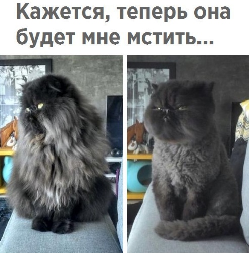Чуток картинок! 26.12.19