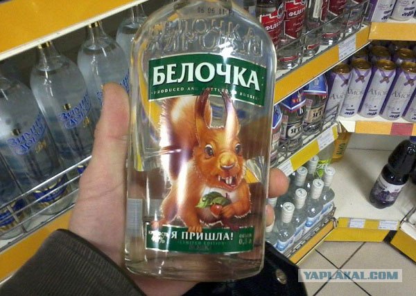 Спешите в "Убежище"