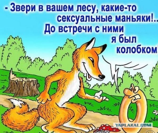 Не очень адекватный юмор