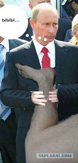Фотожаба: Путин и зверь