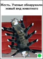Доброе утро