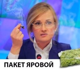 Будьте бдительны в интернете. Закон Яровой