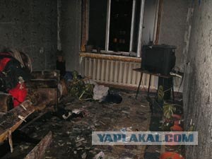 Изучаем свойства серной кислоты