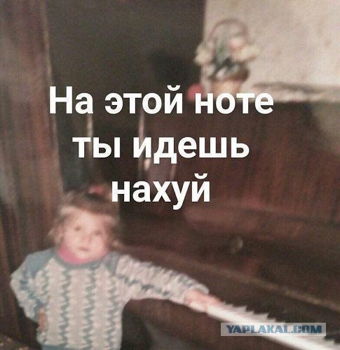 Юмор и прикольные картинки