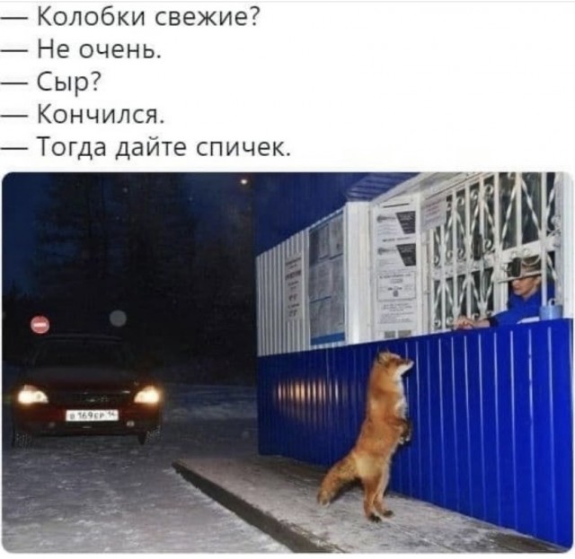Весёлый полтишок 09.10