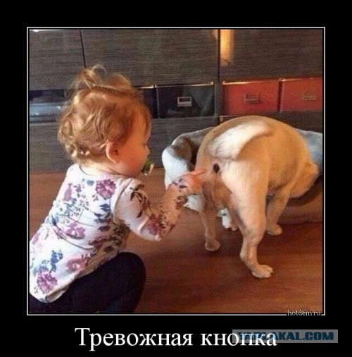 Мемасики для ЯПовцев - Часть 1