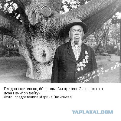 Фотографии послевоенного Запорожья