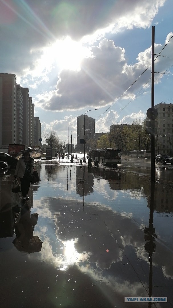 Для успокоения нервной системы