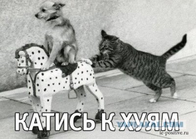 Сергей Елкин покинул Россию