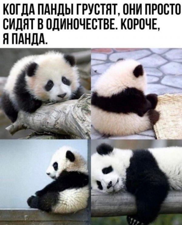 Прикольные и просто красивые картинки 27.04.2022