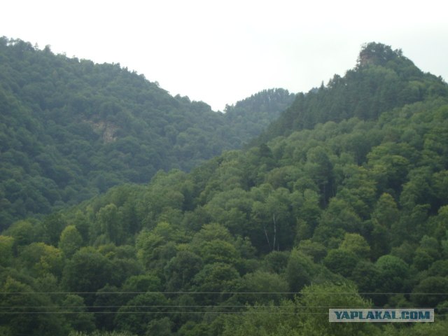 Кавказ-2012